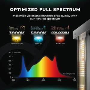 BearBush-Bear-Bush-Botanical-Collective-Mars-Hydro-Full-Grown-Kits-FC-4800-Completed-Tent-Kit-Growbox-iFresh-Fan-2