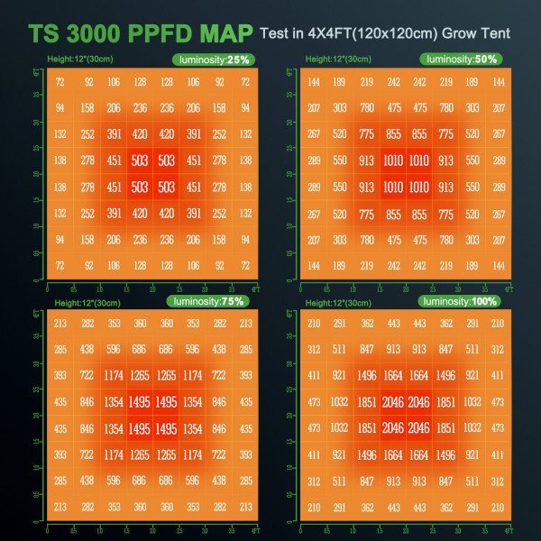 BearBush-Bear-Bush-Botanical-Collective-Mars-Hydro-Full-Grown-Kits-TS-3000-Completed-Tent-Kit-Growbox-3