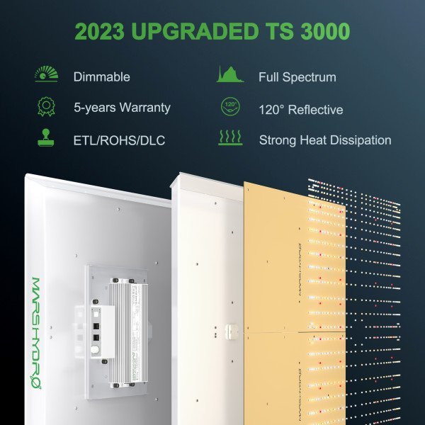 BearBush-Bear-Bush-Botanical-Collective-Mars-Hydro-Full-Grown-Kits-TS-3000-Completed-Tent-Kit-Growbox-4