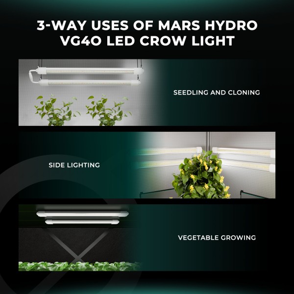 BearBush-Bear-Bush-Botanical-Collective-Mars-Hydro-VG-Series-VG-40-LED-New-2024-6