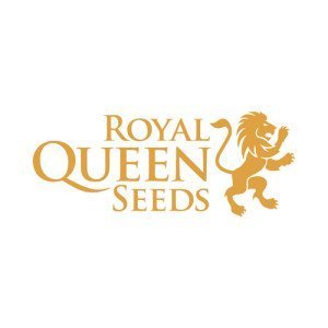 ROYAL QUEEN SEEDS AUTO