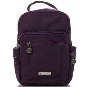 BearBush-Bear-Bush-Botanical-Collective-Sativa-Hemp-Bags-Backpacks-The-Mini-Trio-Plum-1