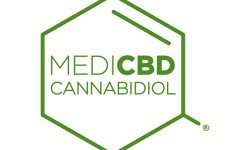 BearBush-Bear-Bush-Botanical-Collective-MediCBD-Logo