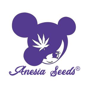 ANESIA SEEDS AUTO