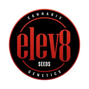 ELEV8 SEEDS AUTO