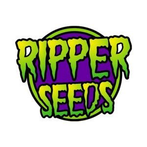 RIPPER SEEDS AUTO