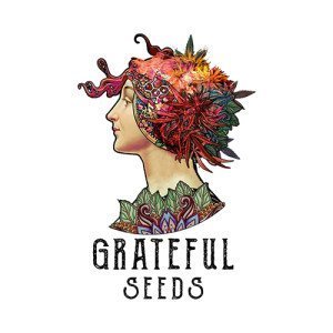 GRATEFUL SEEDS FEM