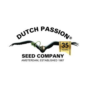 DUTCH PASSION FF