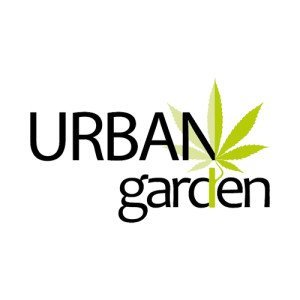 BearBush-Bear-Bush-Botanical-Collective-Cloni-Ornamentali-Élite-CBD-Gorilla-Glue-(Urban-Garden-Cut)-2