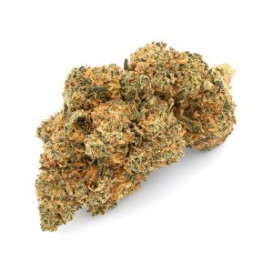 BearBush-Bear-Bush-Botanical-Collective-Canapa-Cannabis-CBD-Erba-Fumo-Grow-Head-Hemp-Legal-Light-Marjuana-Seed-Semi-Smoke-Vapor-Weed-Buds-Cime-Flowers-Fiori-Inflorescences-Infiorescenze-Blueberry