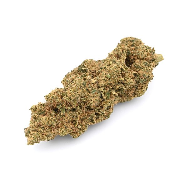 BearBush-Bear-Bush-Botanical-Collective-Canapa-Cannabis-CBD-Erba-Fumo-Grow-Head-Hemp-Legal-Light-Marjuana-Seed-Semi-Smoke-Vapor-Weed-Buds-Cime-Flowers-Fiori-Inflorescences-Infiorescenze-Chem-Pie