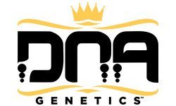 BearBush-Bear-Bush-Botanical-Collective-DNA-Genetics-Logo