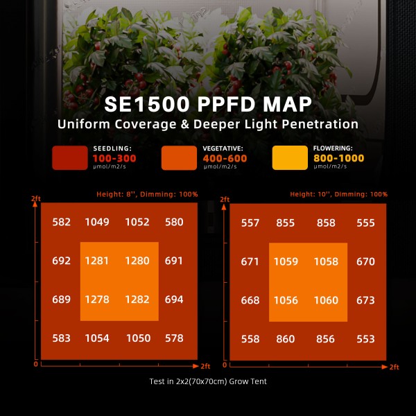 BearBush-Bear-Bush-Botanical-Collective-Spider-Farmer-SE1500-EVO-Completed-Tent-Kit-Growbox-Smart-Humidity-Controller-New-2024-16