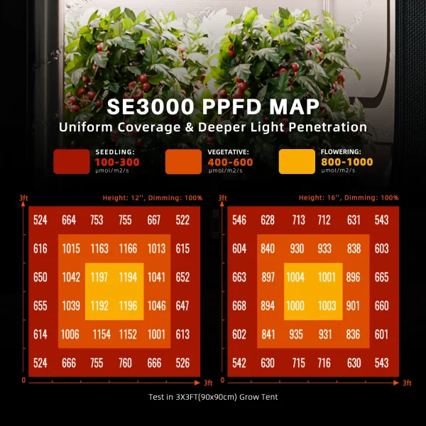 BearBush-Bear-Bush-Botanical-Collective-Spider-Farmer-SE3000-EVO-Completed-Tent-Kit-Growbox-Smart-Humidity-Controller-New-2024-2