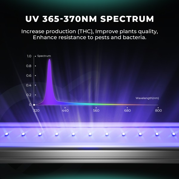 BearBush-Bear-Bush-Botanical-Collective-Mars-Hydro-UV-+-IR-+-R-+-B-Series-UV-30-+-IR-15-+-R-30-+-B-30-LEDS-Smart-Control-Kit-New-2025-6