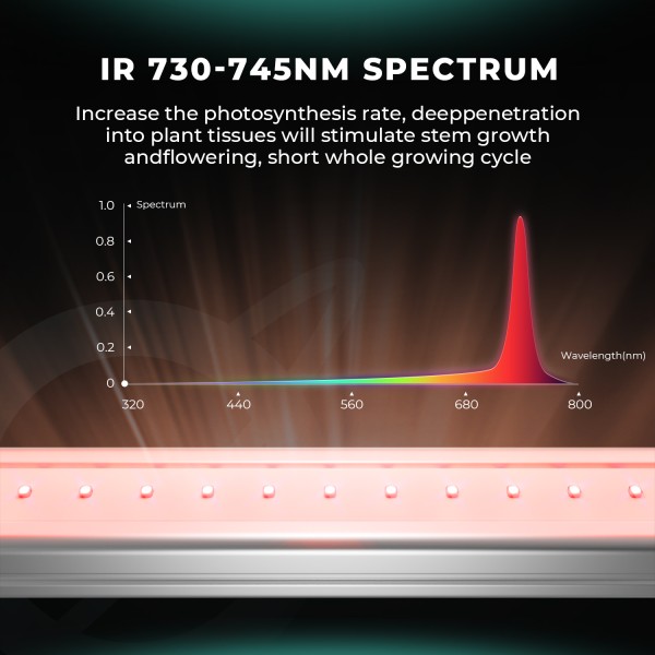 BearBush-Bear-Bush-Botanical-Collective-Mars-Hydro-UV-+-IR-+-R-+-B-Series-UV-30-+-IR-15-+-R-30-+-B-30-LEDS-Smart-Control-Kit-New-2025-9