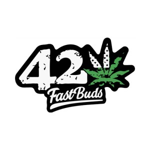 FAST BUDS FEM