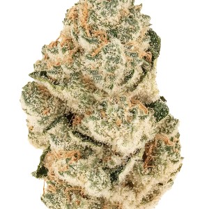 BearBush-Bear-Bush-Botanical-Collective-Fast-Buds-Gorilla-Melon-Fem-2