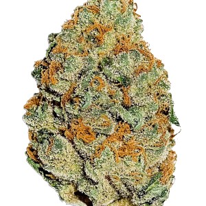 BearBush-Bear-Bush-Botanical-Collective-Fast-Buds-Lemon-Mandarin-Fem-2