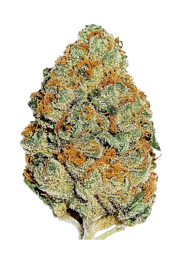 BearBush-Bear-Bush-Botanical-Collective-Fast-Buds-Lemon-Mandarin-Fem-2
