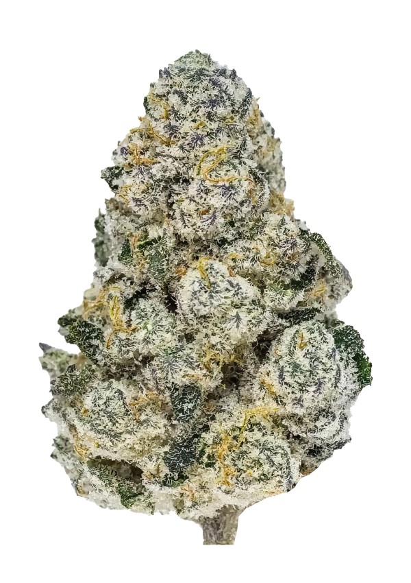 BearBush-Bear-Bush-Botanical-Collective-Fast-Buds-Lemonpaya-Fem-2