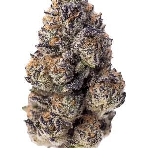BearBush-Bear-Bush-Botanical-Collective-Fast-Buds-Papaya-Sherbet-Fem-2