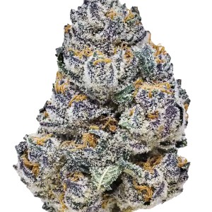 BearBush-Bear-Bush-Botanical-Collective-Fast-Buds-Rainbow-Melon-Fem-2