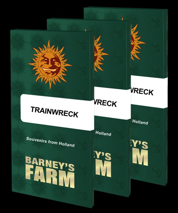 BearBush-Bear-Bush-Botanical-Collective-Barney's-Farm-Trainwreck-Fem-3