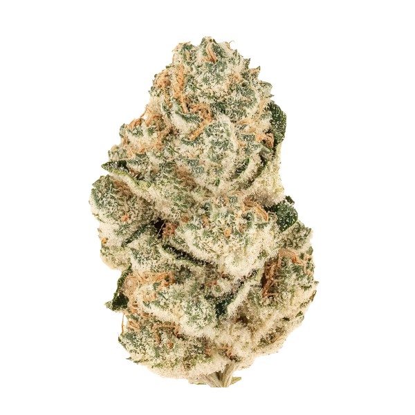 BearBush-Bear-Bush-Botanical-Collective-Fast-Buds-Gorilla-Melon-Fem-2-v2