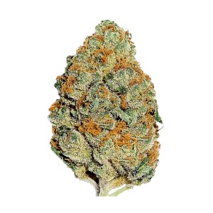 BearBush-Bear-Bush-Botanical-Collective-Fast-Buds-Lemon-Mandarin-Fem-2-v2