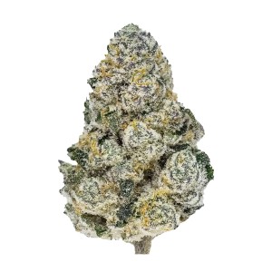 BearBush-Bear-Bush-Botanical-Collective-Fast-Buds-Lemonpaya-Fem-2-v2