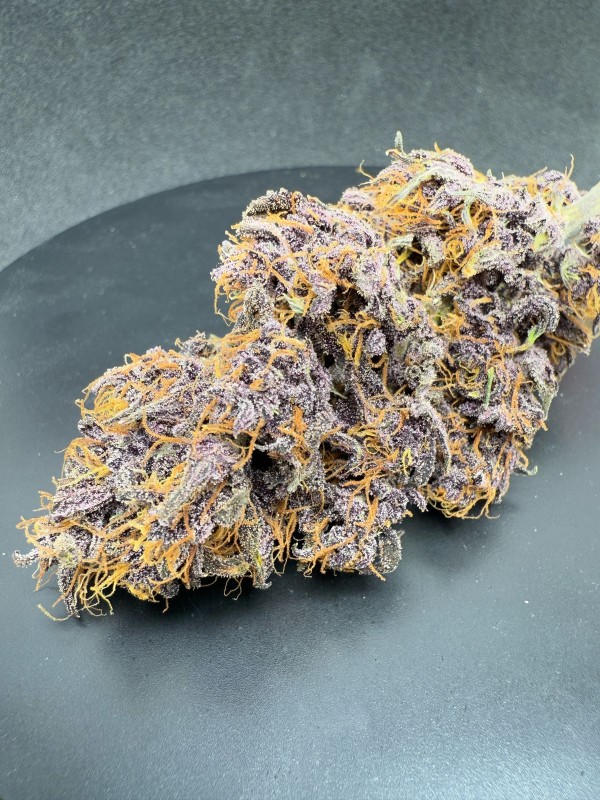 BearBush-Bear-Bush-Botanical-Collective-Fast-Buds-Purple-Haze-Auto-8-v2