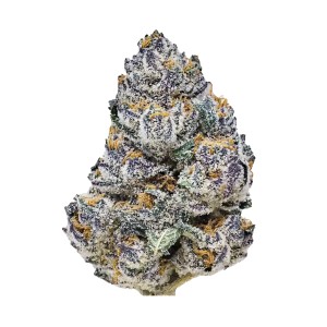 BearBush-Bear-Bush-Botanical-Collective-Fast-Buds-Rainbow-Melon-Fem-2-v2