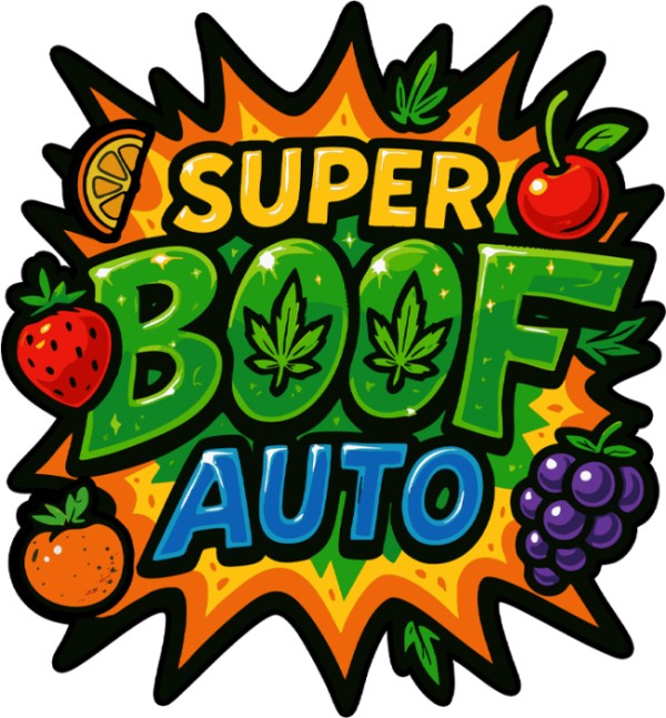 BearBush-Bear-Bush-Botanical-Collective-Fast-Buds-Super-Boof-Auto-1