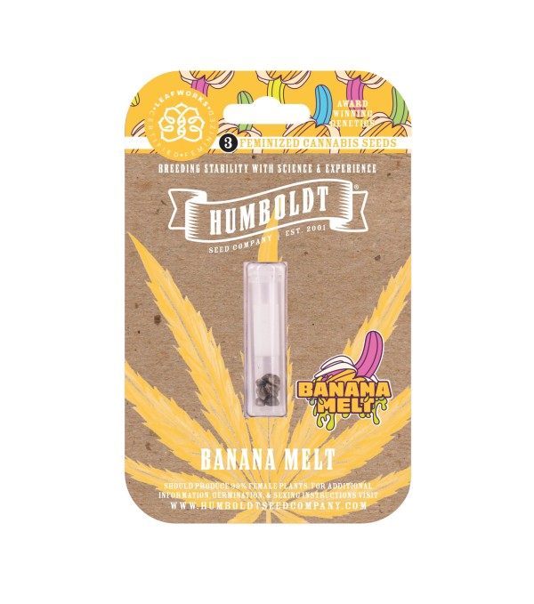 BearBush-Bear-Bush-Botanical-Collective-Humboldt-Seed-Company-Banana-Melt-Fem-4