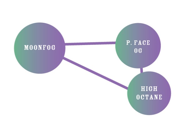 BearBush-Bear-Bush-Botanical-Collective-Humboldt-Seed-Company-Moon-Fog-Fem-5