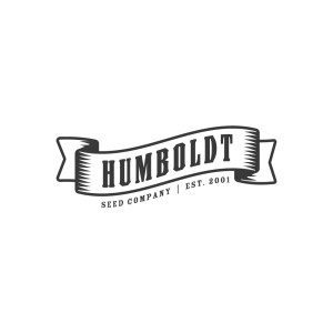 BearBush-Bear-Bush-Botanical-Collective-Humboldt-Seed-Company-OG-Triploid-Auto-1