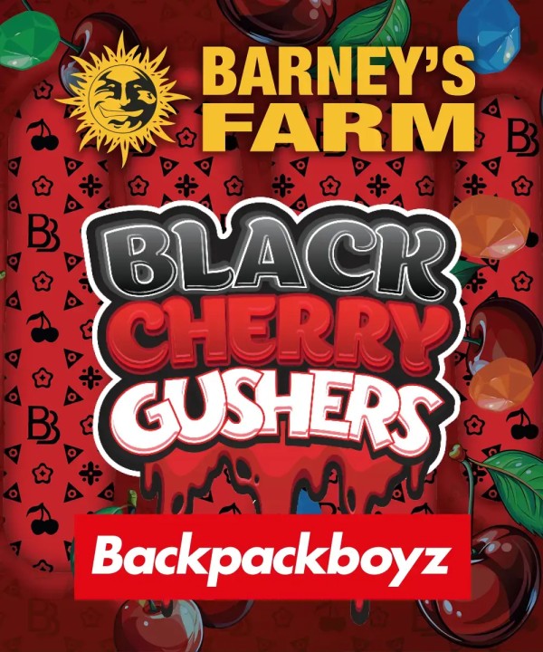 BearBush-Bear-Bush-Botanical-Collective-Barney's-Farm-Black-Cherry-Gushers-Fem-5