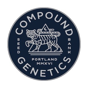 BearBush-Bear-Bush-Botanical-Collective-Compound-Genetics-Old-Money-Fem-1