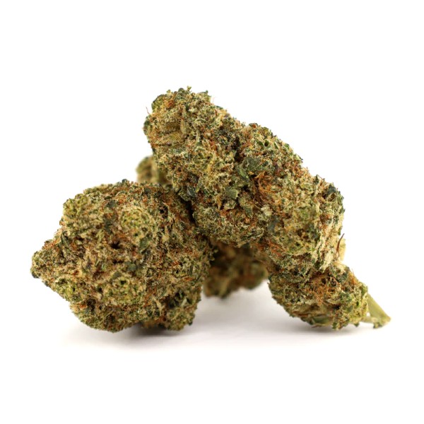 BearBush-Bear-Bush-Botanical-Collective-Cookies-Seed-Bank-Apples-&-Bananas-Fem-2