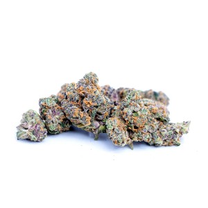 BearBush-Bear-Bush-Botanical-Collective-Cookies-Seed-Bank-Gary-Payton-Fem-2