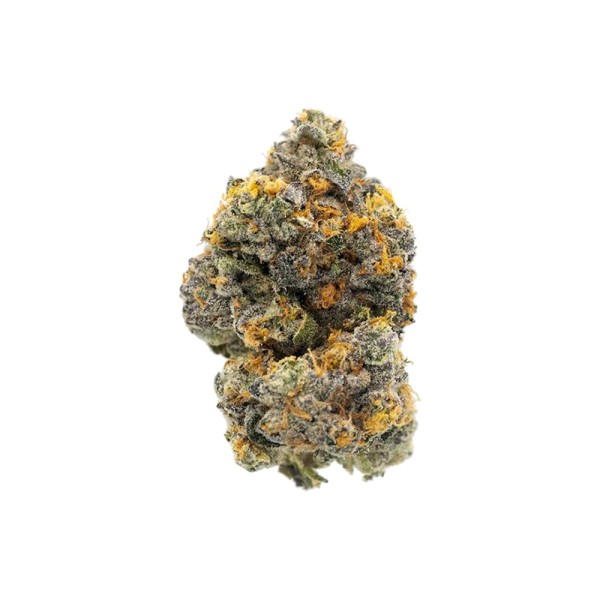 BearBush-Bear-Bush-Botanical-Collective-Cookies-Seed-Bank-Gary-Payton-Fem-3