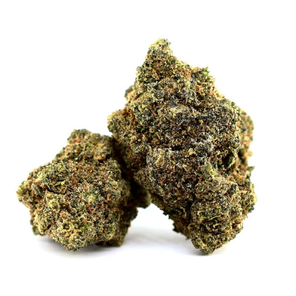 BearBush-Bear-Bush-Botanical-Collective-Cookies-Seed-Bank-Gelatti-Fem-2