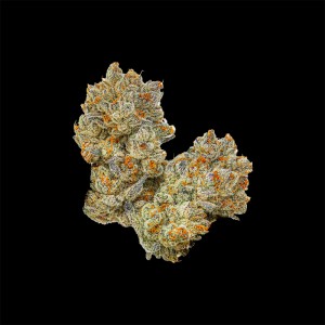 BearBush-Bear-Bush-Botanical-Collective-Cookies-Seed-Bank-Original-G.S.C!-Fem-2