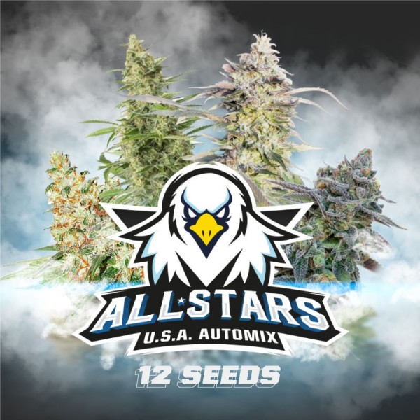 BearBush-Bear-Bush-Botanical-Collective-BSF-Seeds-All-Stars-USA-Auto-Mix-2