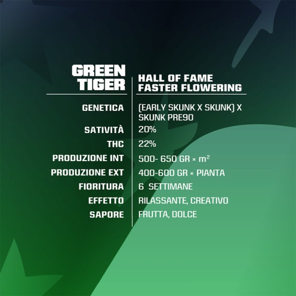 BearBush-Bear-Bush-Botanical-Collective-BSF-Seeds-Hall-Of-Fame-Green-Tiger-Faster-FF-3