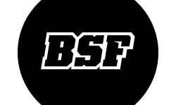 BearBush-Bear-Bush-Botanical-Collective-BSF-Seeds-Logo