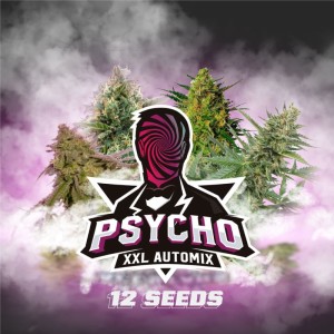 BearBush-Bear-Bush-Botanical-Collective-BSF-Seeds-Psycho-XXL-Auto-Mix-2