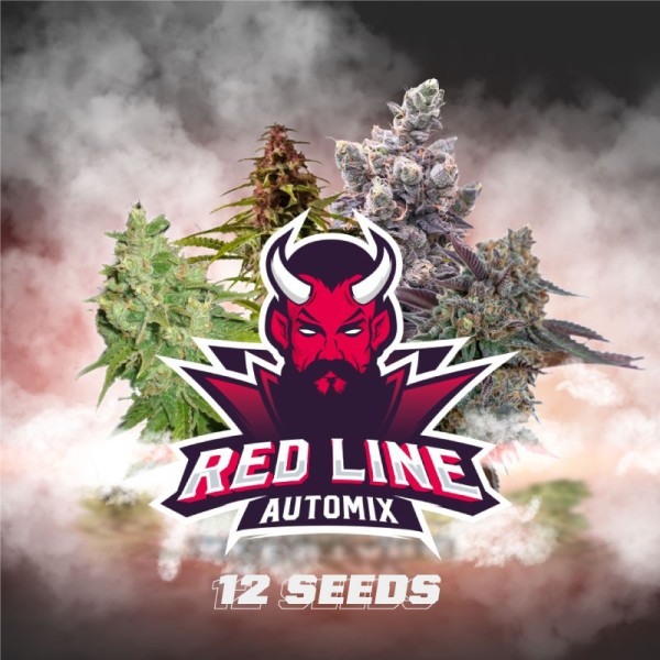 BearBush-Bear-Bush-Botanical-Collective-BSF-Seeds-Red-Line-Auto-Mix-2