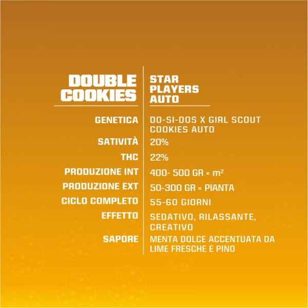 BearBush-Bear-Bush-Botanical-Collective-BSF-Seeds-Star-Players-Double-Cookies-Auto-3